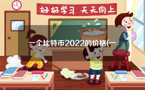 一个比特币2022的价格(一个比特币人民币的价格)