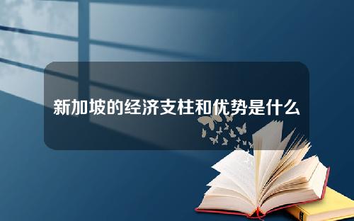 新加坡的经济支柱和优势是什么？这些因素如何影响其国际地位？