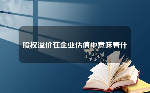 股权溢价在企业估值中意味着什么？这种溢价如何影响投资决策？