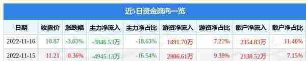 蓝黛科技（002765）11月16日主力资金净卖出3846.53万元