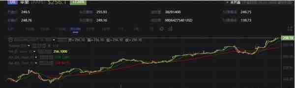 coinup交易所(叫嚣双11暴富100倍区块链热潮下币圈乱象调查：空气币、拉人头、割韭菜，山寨“交易所”群魔乱舞)