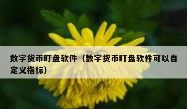 数字货币标记软件(数字货币标记软件可以自定义指标)