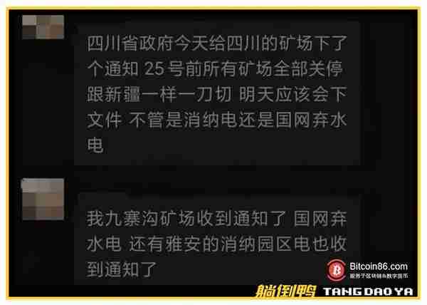 30块钱U盘被拍卖到4万，里面究竟藏了啥宝贝？