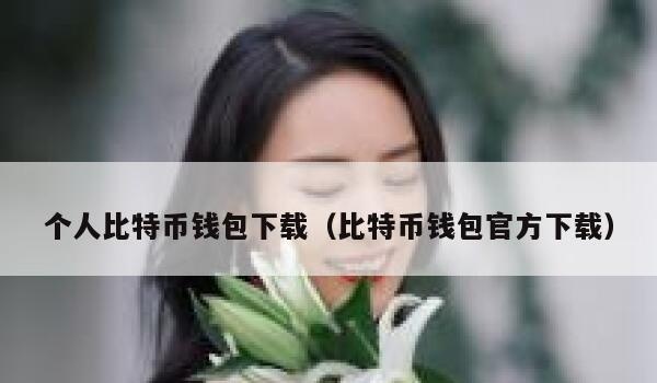 个人比特币钱包下载(比特币钱包官方下载)