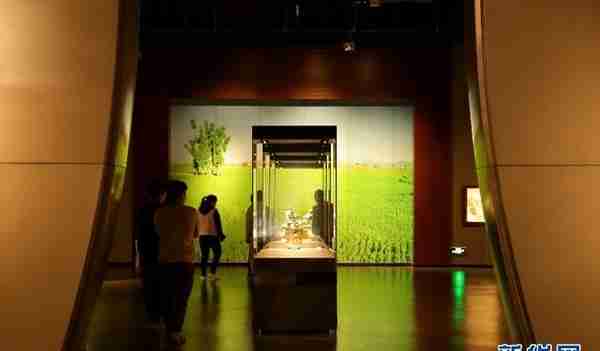 镇馆之宝丨来云南省博物馆看2000多年前的“存钱罐”