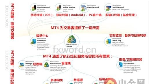 MT4：零售外汇版图上的“核心枢纽”