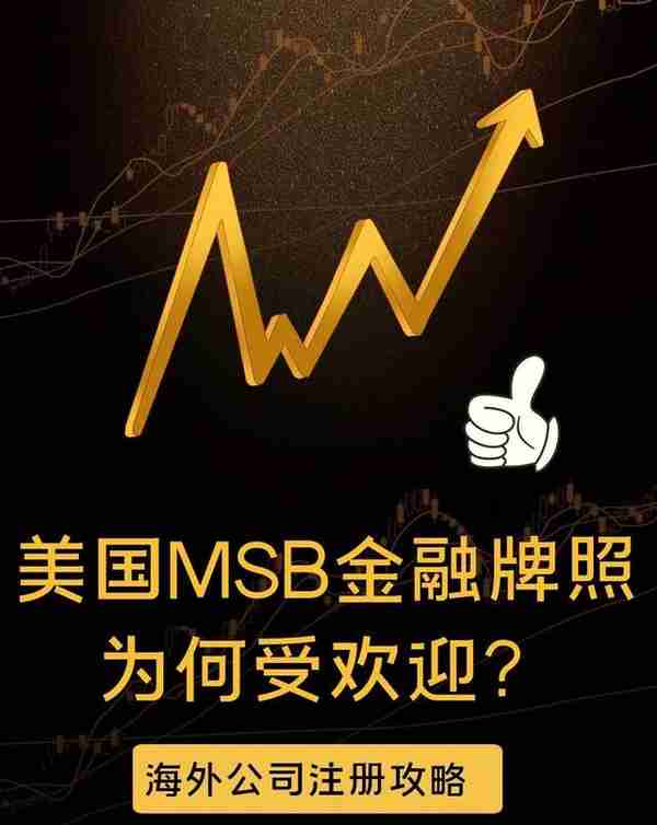 美国msb 金融牌照离岸海外国际公司注册美国公司注册流程步骤