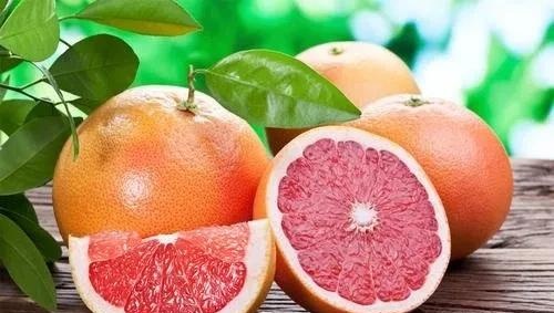 记住：“橘子”不是“orange”，别再乱叫了！