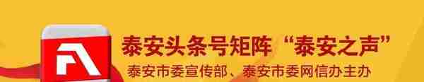 泰山区社会保险事业中心：发布关于社保缴费的最新通知！