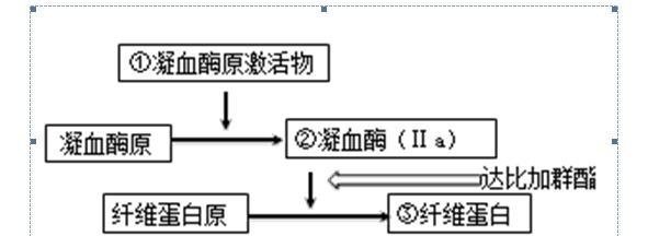 血液系统疾病用药，抗凝血药