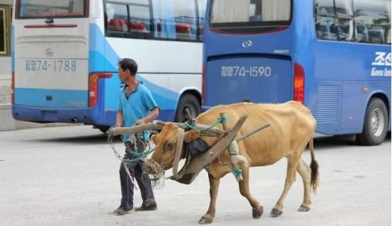 朝鲜见闻：当地物价水平如何？带一万块钱去玩能否当富豪？