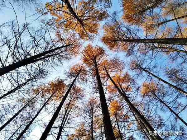 没有红叶的辽宁本溪关门山，人称东北小黄山，依然美丽迷人