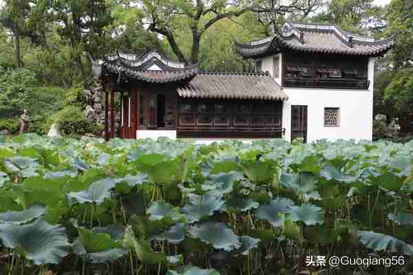 你知道上海有多少个公园和中心绿地吗？