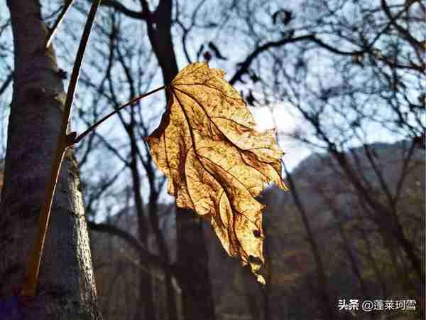 没有红叶的辽宁本溪关门山，人称东北小黄山，依然美丽迷人