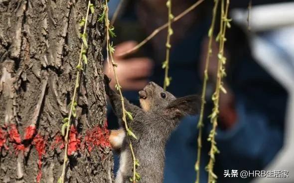 相约太阳岛 共度好时光——太阳岛风景区“五一节”最新游玩攻略