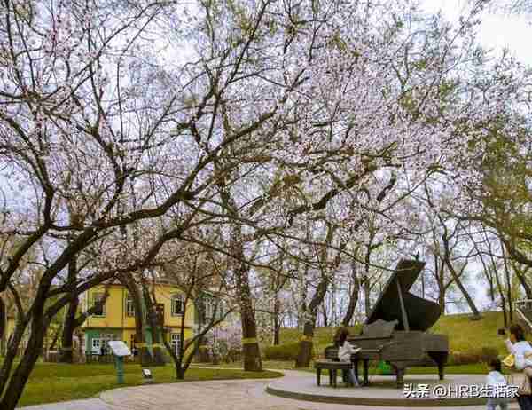 相约太阳岛 共度好时光——太阳岛风景区“五一节”最新游玩攻略