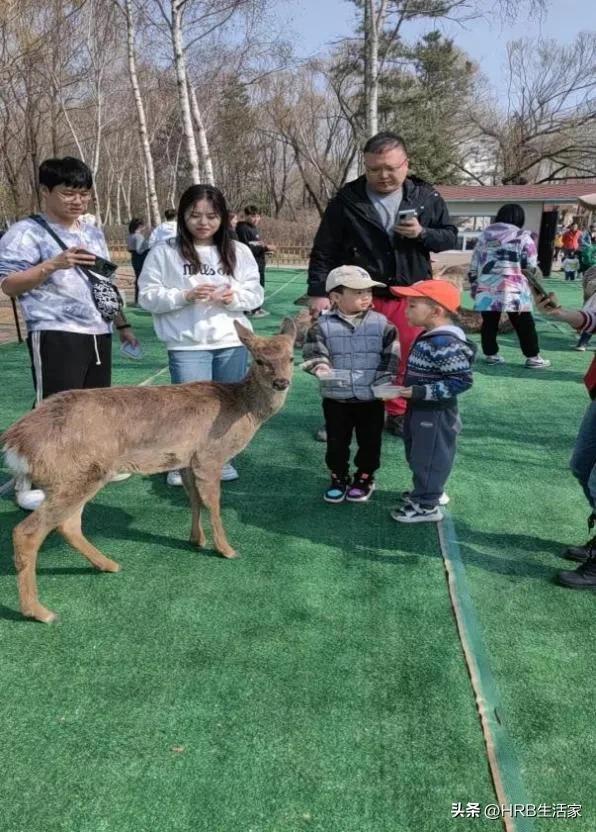 相约太阳岛 共度好时光——太阳岛风景区“五一节”最新游玩攻略