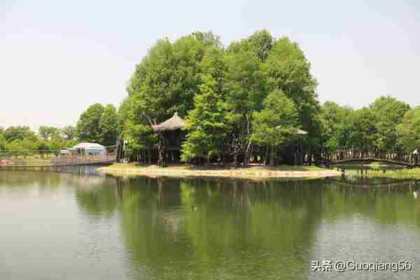 你知道上海有多少个公园和中心绿地吗？
