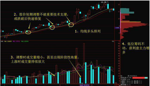 中国股市启示录：为什么80%的散户炒股都赔钱？因为他们连“筹码集中度12%”意味着什么都不理解