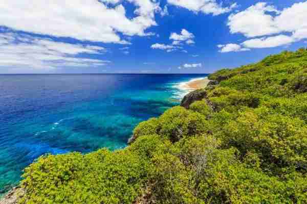 新西兰也有“小弟”纽埃（Niue），官方货币上竟然是比卡丘