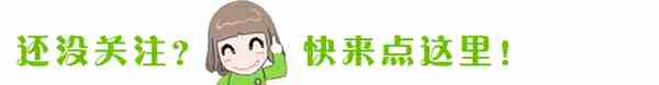 “牡丹妙手 景致天成”中国（洛阳）牡丹插花技能大赛在老城举行