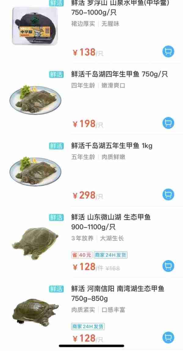 200年的甲鱼？开价2万8，专家一看，不得了！