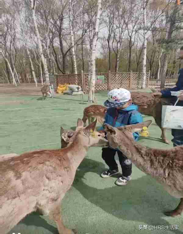 相约太阳岛 共度好时光——太阳岛风景区“五一节”最新游玩攻略