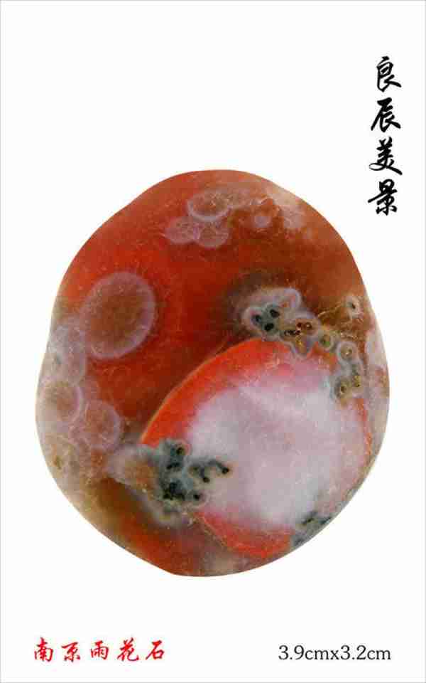 新石器时期已开始“玩石”,南京雨花石收藏史上的几个之最