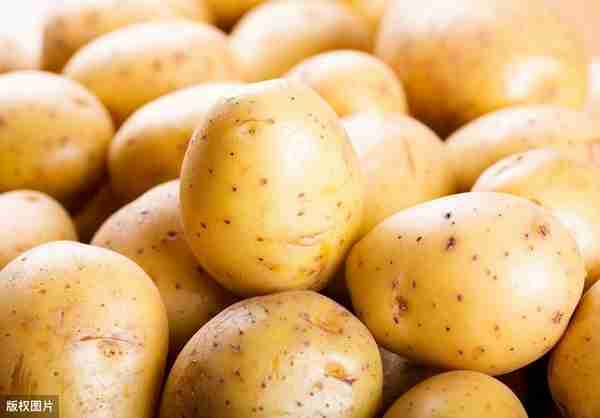 买土豆，选黄心的好还是白心的好？口感和营养都有差别，别选错了