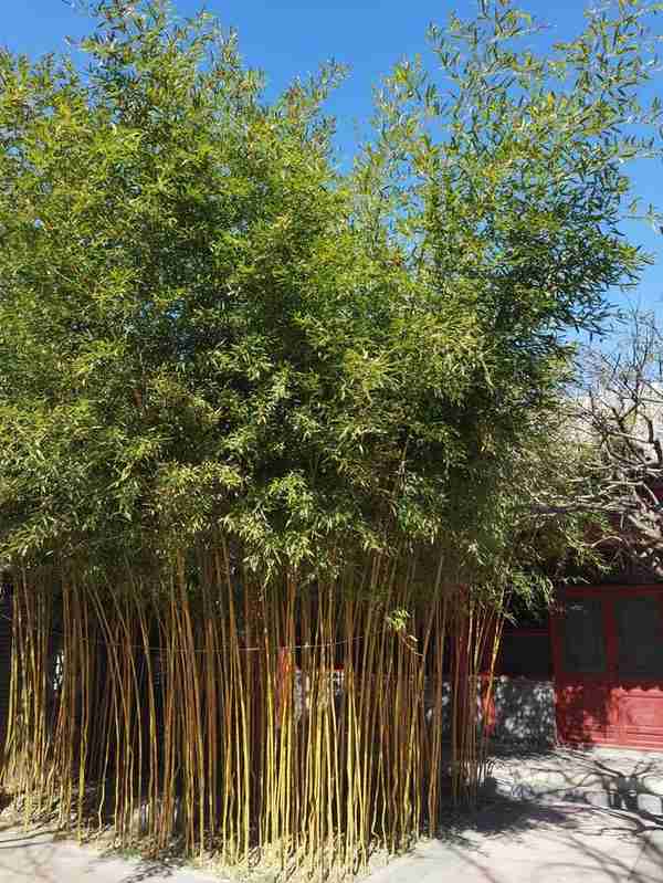 天津蓟州城一日游之独乐寺