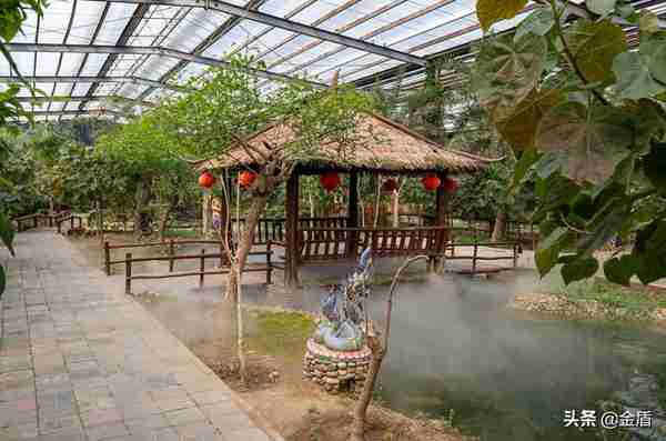 北方“西版双纳”——北京呀路古热带植物园