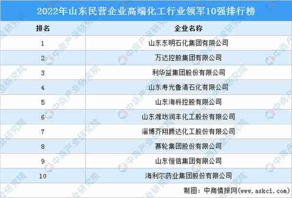 2022年山东民营企业高端化工行业领军10强排行榜